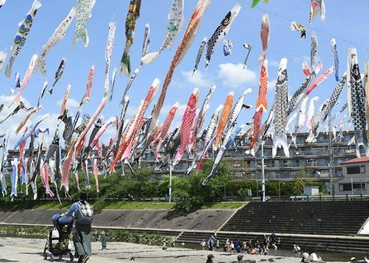 The 32nd Koinobori Festa 1000 (Takatsuki, Osaka)