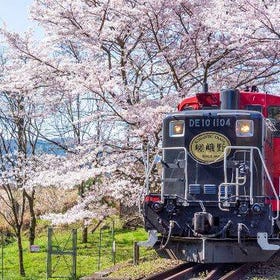 Arashiyama Train & Hozugawa River Rafting Day Tour from Osaka/Kyoto