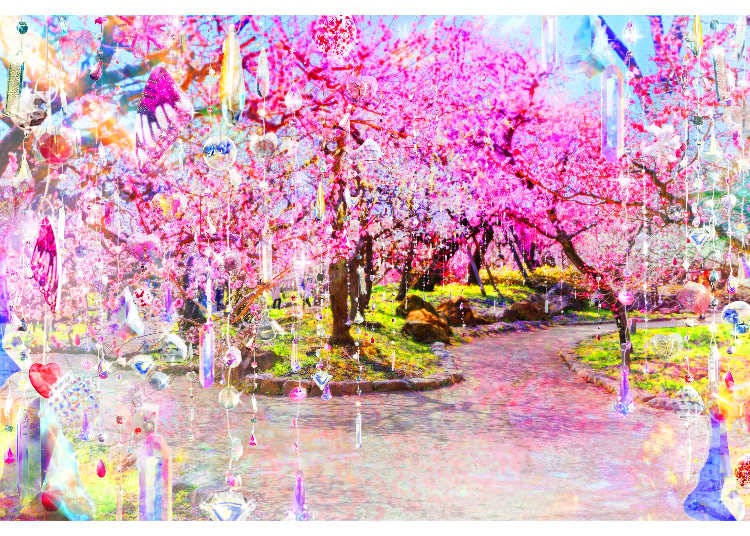 （圖片：Illuminage via PR Times）