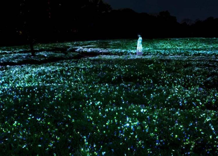 teamLab's "Life is Flickering Light Floating in the Dark - Nemophila" ©teamLab