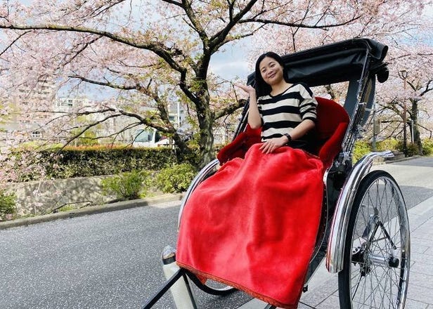 This Spring, Try These 2 Scenic Ways to See Kyoto's Cherry Blossoms