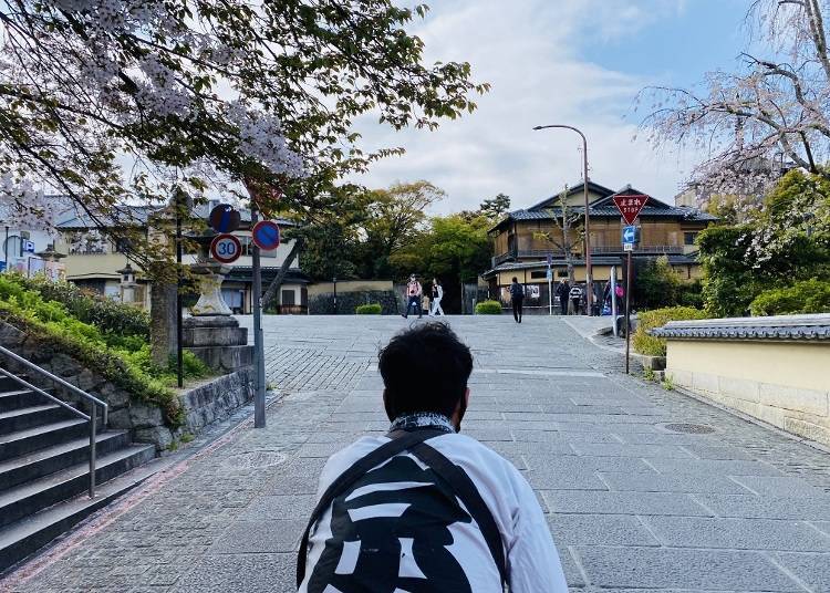 Dashing through cherry blossoms on the Nene-no-Michi Lane!