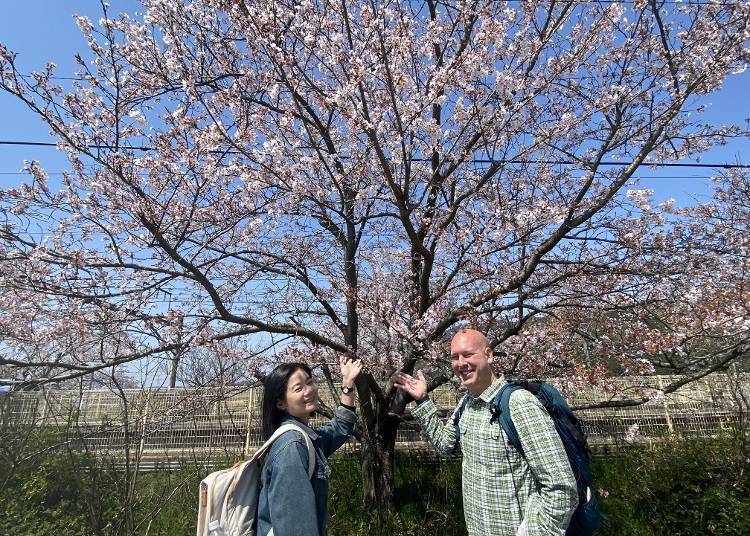 這次要來介紹京都櫻花體驗的是這兩位小編！