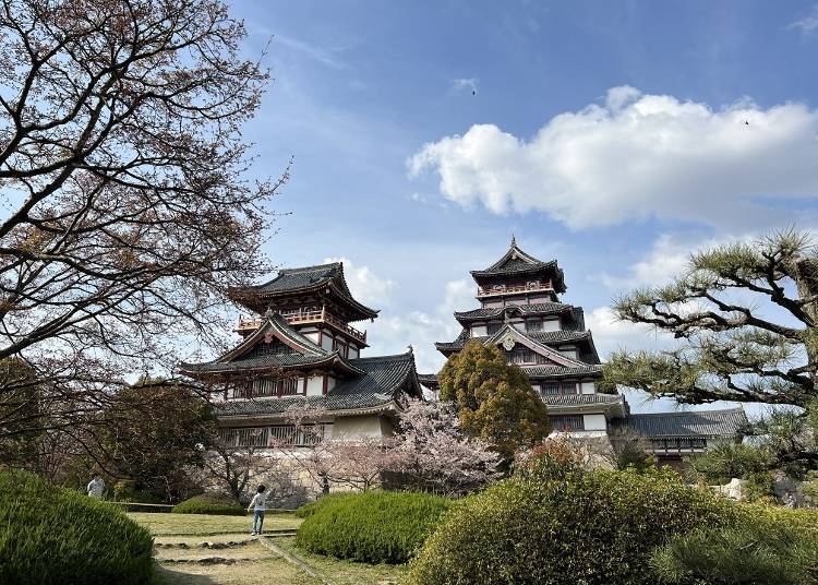 벚꽃 명소#1: 후시미 모모야마 성의 천수각과 벚꽃