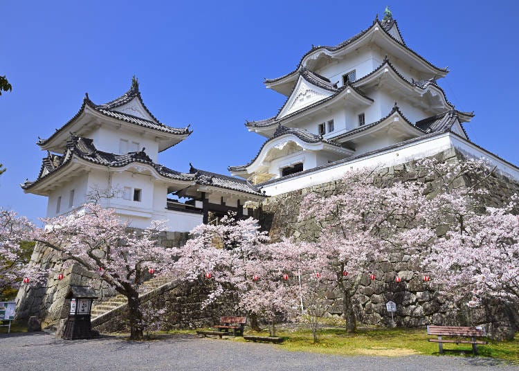 春天的伊賀市伊賀上野城 (照片來源：PIXTA)