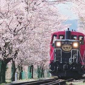 Kyoto Sagano Romantic Train Day Tour
Photo: Klook
