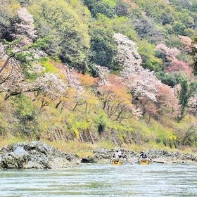 Arashiyama Hozu River Boat Ride E-Ticket
Photo: kkday