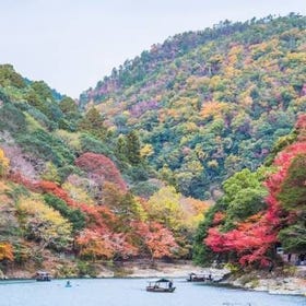 아라시야마 프라이빗 투어
Photo: Klook