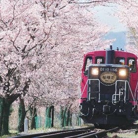 京都嵯峨野遊覽小火車一日遊
▶點擊訂票
圖片提供：Klook