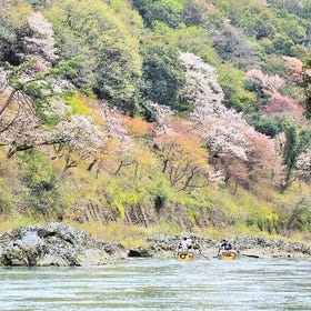 嵐山・保津川遊船體驗
▶點擊訂票
圖片提供：kkday