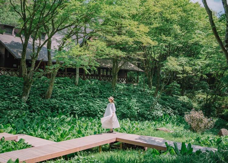 서늘한 기후를 이용하여 고산식물을 기르는 ‘롯코 고산식물원’ (효고)