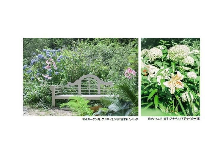 SIKI Garden Summer Season (Kobe City, Hyogo)