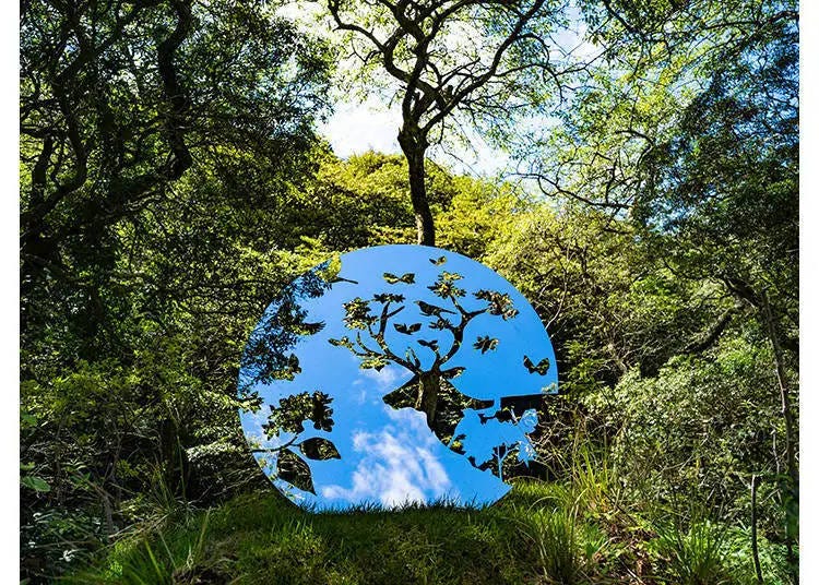 Misa FUNAI, 'Peeking into the Forest, the Mountain Hole,' 2023 / Photo: Kiyotoshi TAKASHIMA