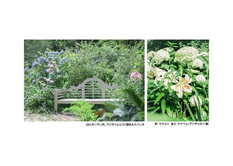 SIKI ガーデンSummer Season （兵庫県神戸市）