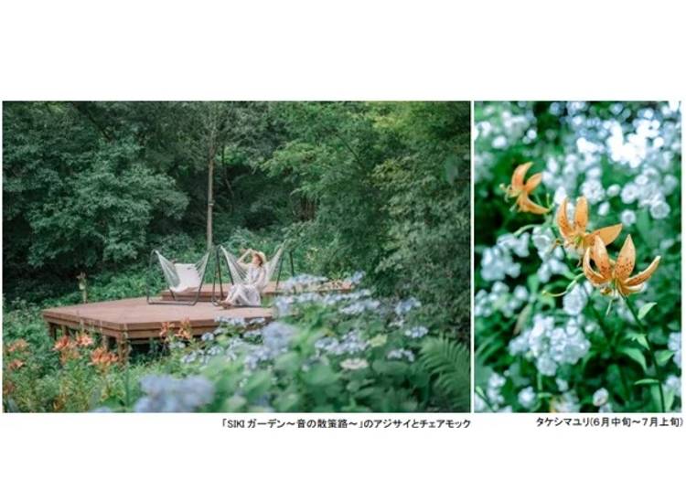 照片來源:pr times