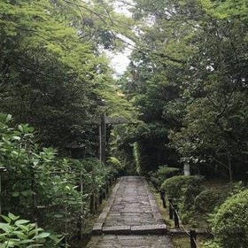 Kyoto: The Path Less Traveled (Private)
(Image: Viator)