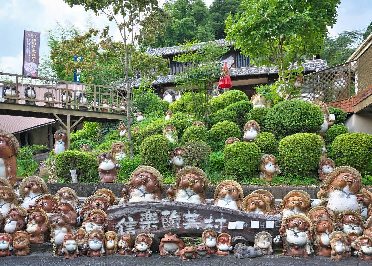 Shigaraki Tanuki Statues in Nagano, Shigaraki Town, Koka City, Shiga Prefecture. (Photo: PIXTA)