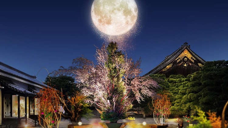 Best Things to Do and See Around Kyoto & Osaka in October: Events and Festivals in Kansai