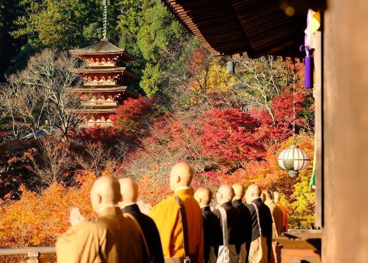 Hase-dera Autumn Maple Festival & Special Fall Viewing (Nara, Hase Temple)