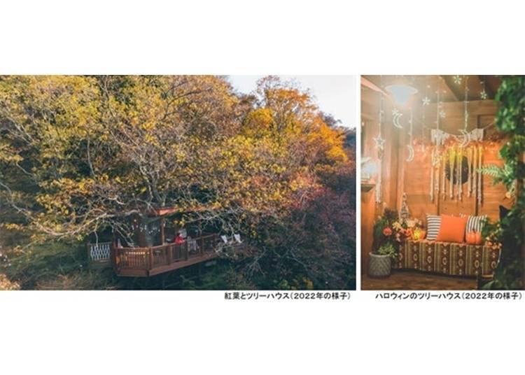 SIKI Garden Autumn Season (Mt. Rokko, Hyogo)