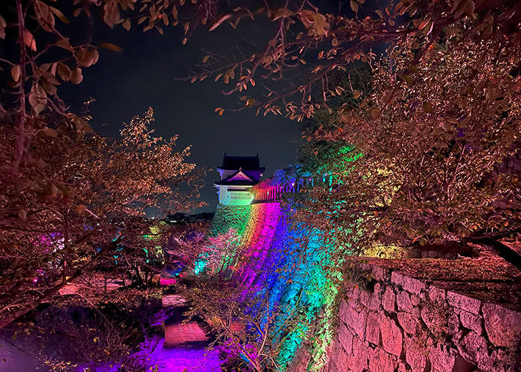 Tsuyama is Japan’s Best-Kept Secret for Cherry Blossom Gazing and Autumn ‘TSUYAMAGIC’ Light Shows
