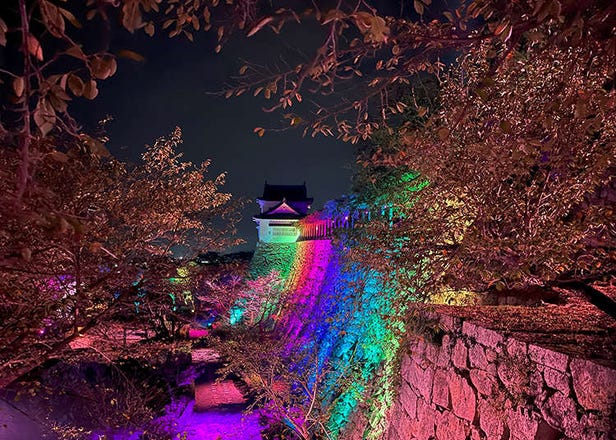 Tsuyama is Japan’s Best-Kept Secret for Cherry Blossom Gazing and Autumn ‘TSUYAMAGIC’ Light Shows