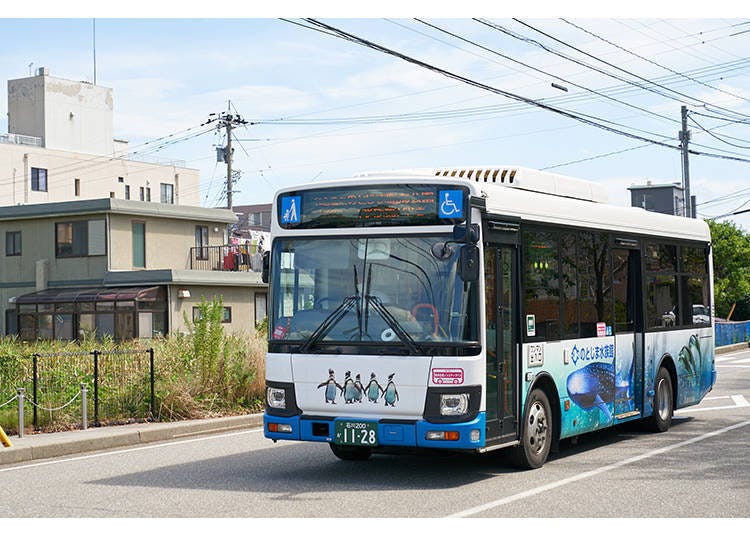 나나오 시내 관광은 버스와 초소형 전기자동차 이용을 추천