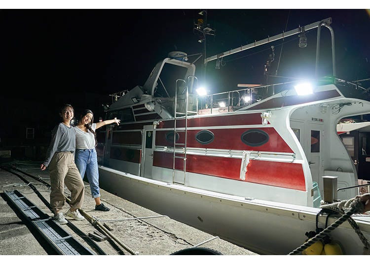 乘坐夜間遊覽船，觀賞閃爍翠綠色的動人海面