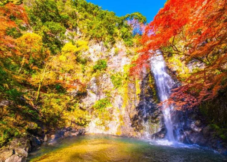 画像はイメージです。画像素材：PIXTA
