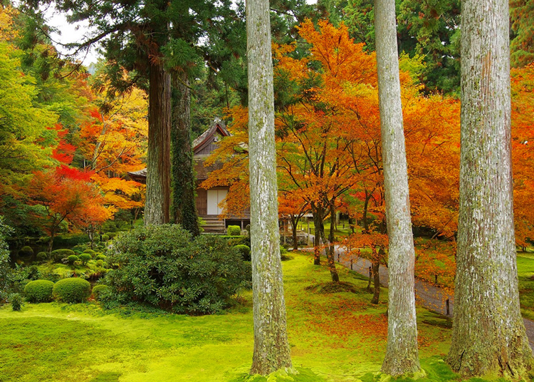 三千院楓葉祭（京都／大原）