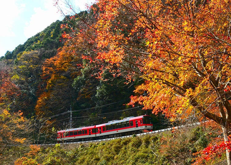 (照片來源: PIXTA)