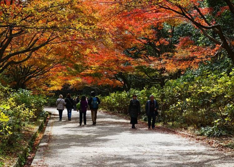 Photo by 663highland, CC BY-SA 4.0, commons.wikimedia.org/w/index.php?curid=64523902