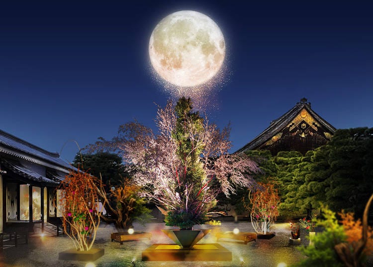 Naked Meets Nijo Castle 2025 Moon Viewing at Nijo Castle (Kyoto)