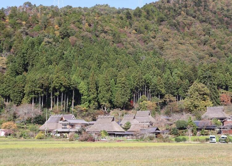 Miyama Kayabuki-no-Sato: A Must-Visit Miyama Destination