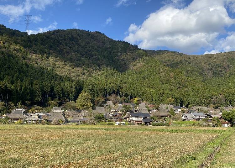 ・美山町の特徴