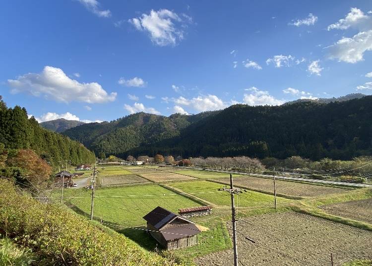 ・美山町の気候は?