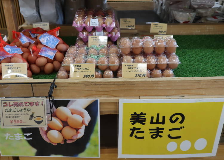 ・토종 닭과 방목란