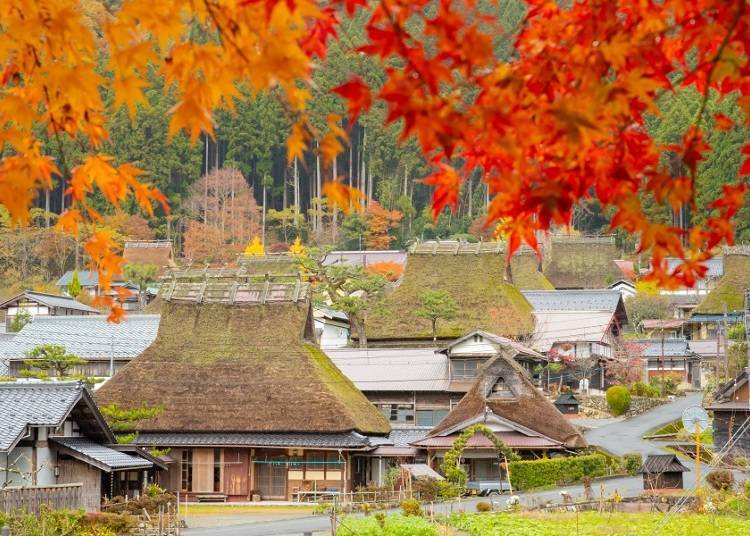 照片提供：美山DMO