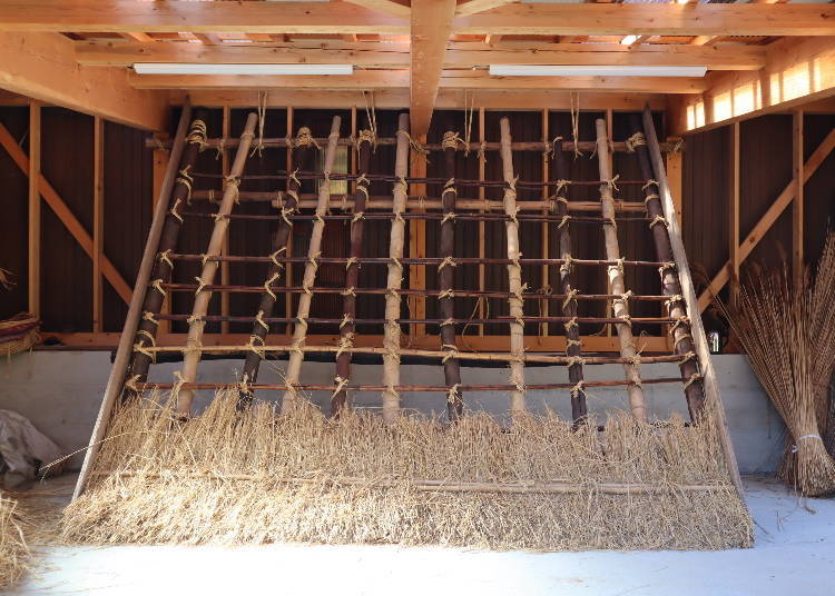 Our First Thatching Experience: A Technique Passed Down from Ancient Times