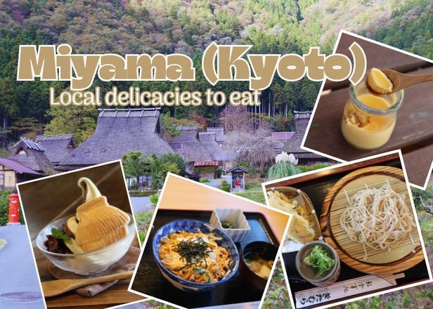 Kyoto Hidden Gems Tour: Must-Try Local Delicacies Around Miyama Kayabuki-no-Sato