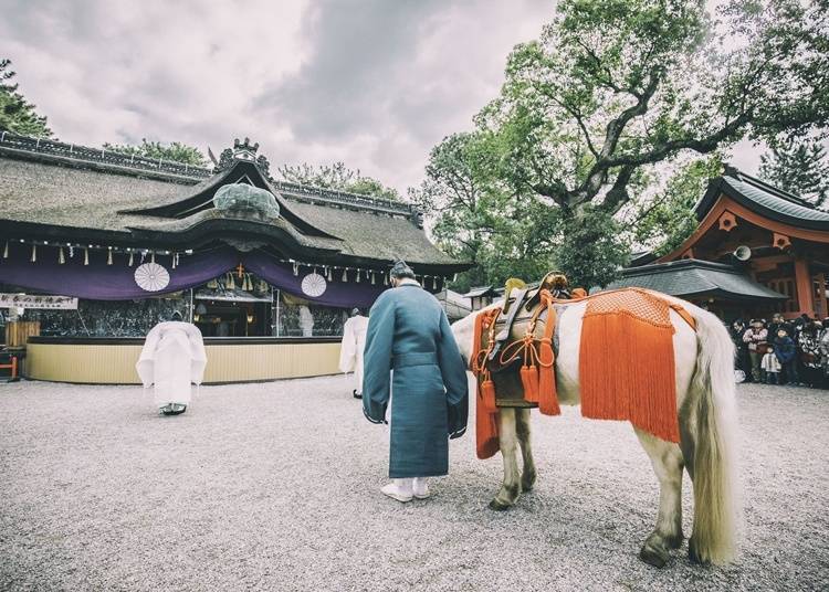 Sumiyoshi Taisha: Hatsumode & White Horse Ritual (Osaka, Sumiyoshi)