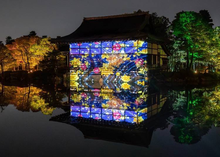 (圖片:Naked Inc. via PR Times)