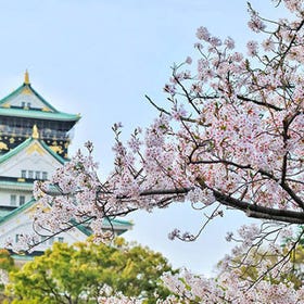 [효고] [일본] 효고, 고베 일일투어 | 히메지 성. 아리마 온천. 롯코산의 야경｜중국어, 일본어 서비스
예약하기
Photo: kkday