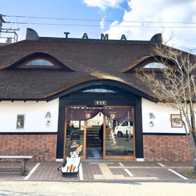 和歌山一日遊：世界遺産高野山、和歌山貓站長、黑潮市場（大阪出發）
▶點擊預約
圖片提供：kkday