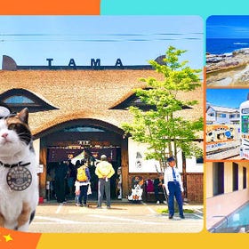 日本及歌山一日遊｜貴志站搭乘特色電車＋南紀白濱溫泉＋ToreTore市場＋千疊敷＋三段壁（大阪出發）
▶點擊預約
圖片提供：kkday