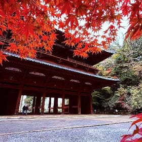 『關西小眾秘境一日遊』探秘世界遺產高野山，初冬雪景巡禮，一日往返，大阪出發
▶點擊預約
圖片提供：kkday