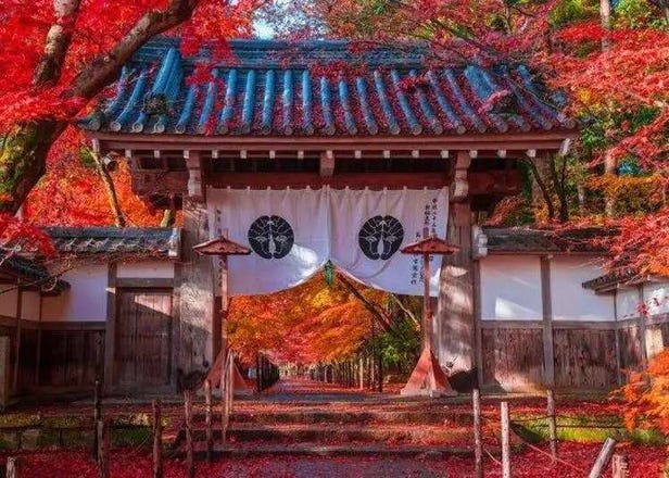 巴士一日遊賞楓超方便！京都、奈良、三重等關西人氣紅葉景點一次遊遍