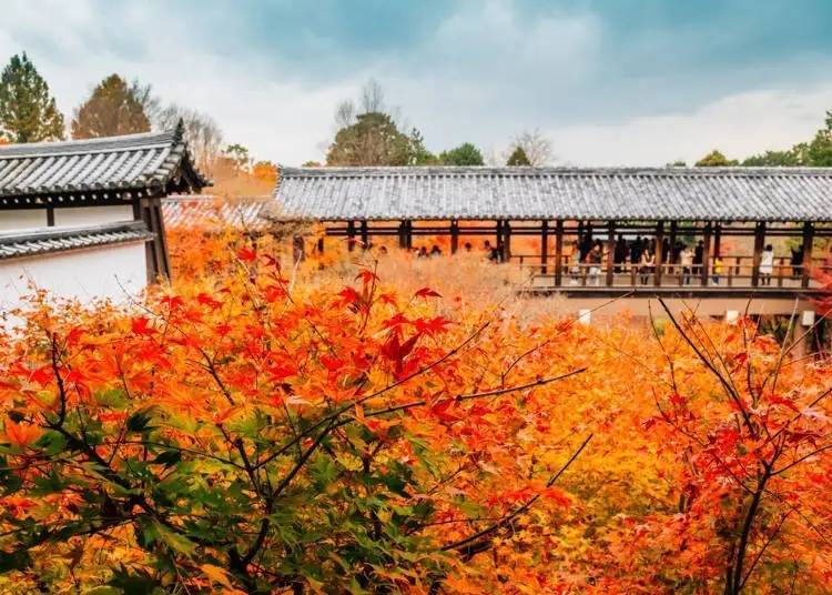 사진 출처: 사이트 기사 a2000502