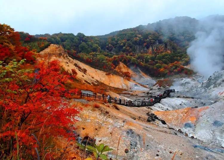 Wonderful combination of colorful red leaves and white steam (Photo: Article #a1000131)