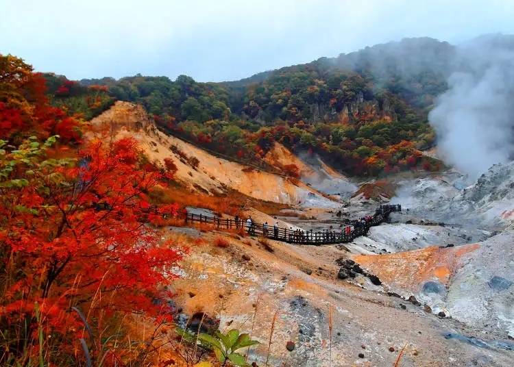 絢麗紅葉和白煙的奇妙組合 照片來源：站內文章article-a1000131